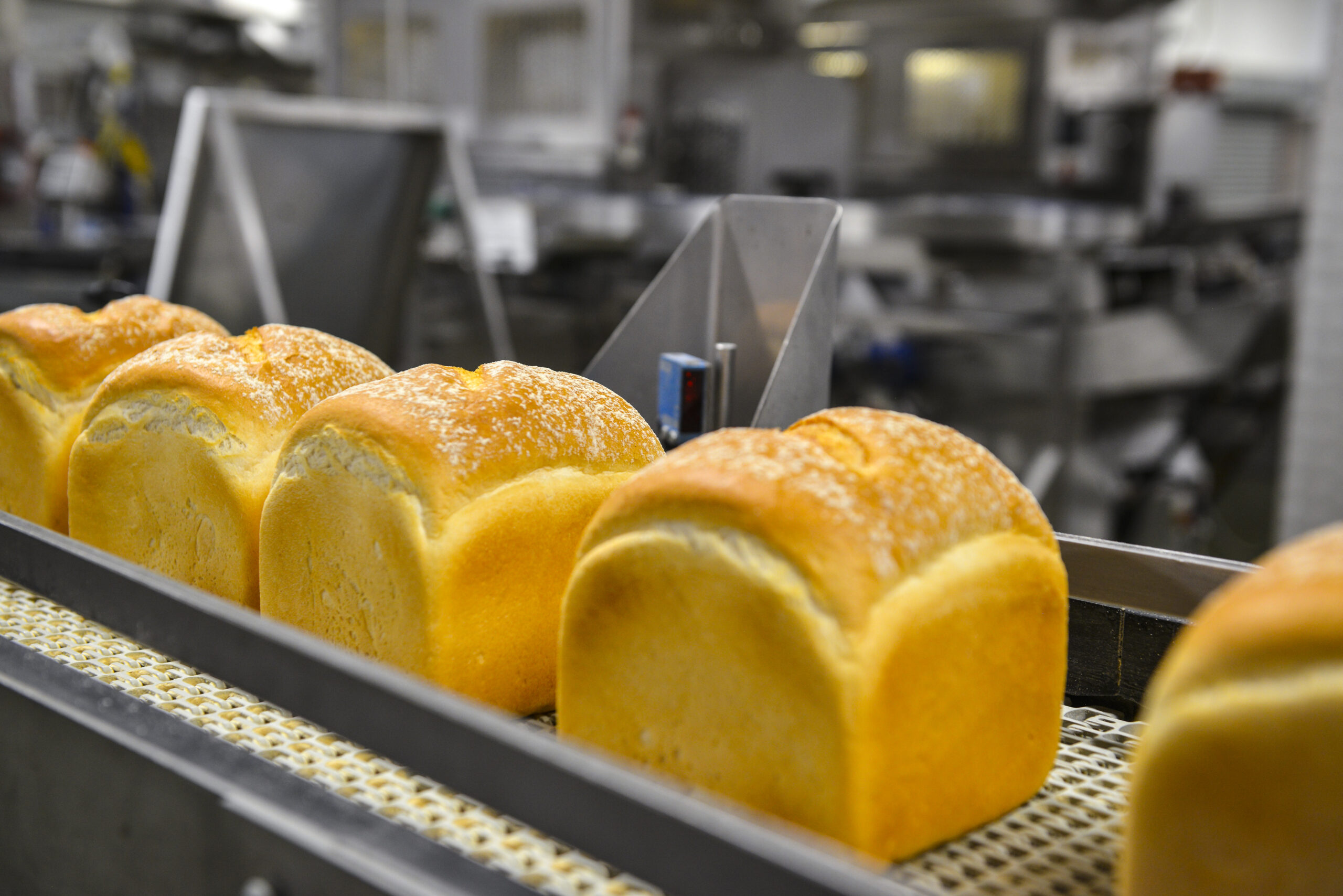 Bread Unwrapped FAQs Health Warburtons