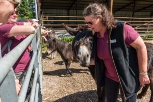 Warburtons Farm Visits