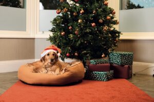 Warburtons CrumPET beds